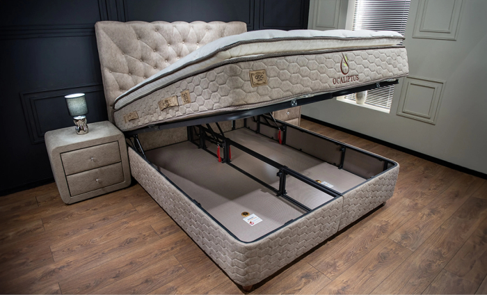 Pat tapitat CALIPTUS [4]