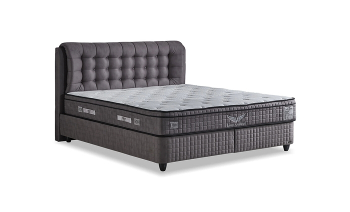 Pat tapitat LATEK [6]