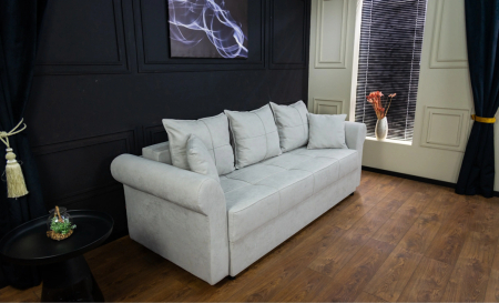 canapea extensibila ELISA [11]