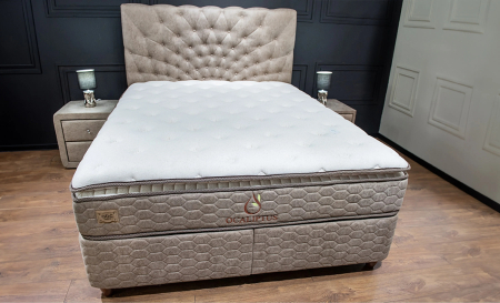 Pat tapitat CALIPTUS [1]