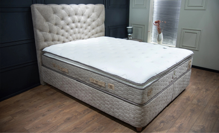 Pat tapitat CALIPTUS [12]