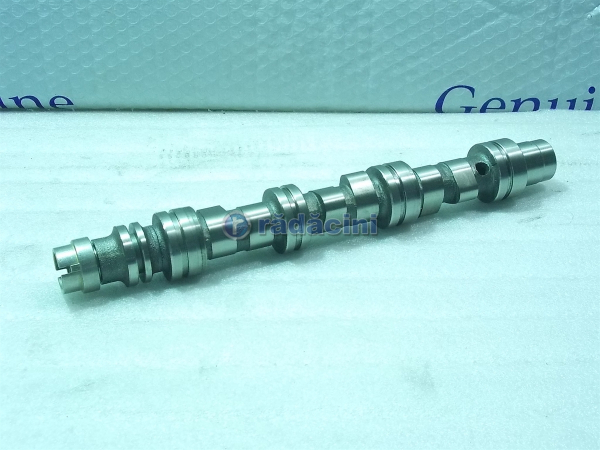 Camshaft  96951787 [1]
