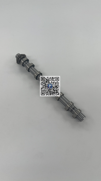 AXA CAME EVACUARE D15DTH - DV5R 9825017880 [2]