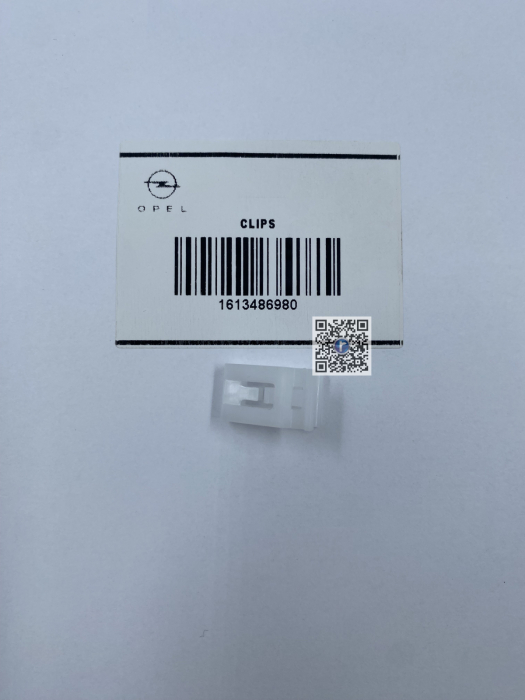 CLIPS - 1613486980 [2]
