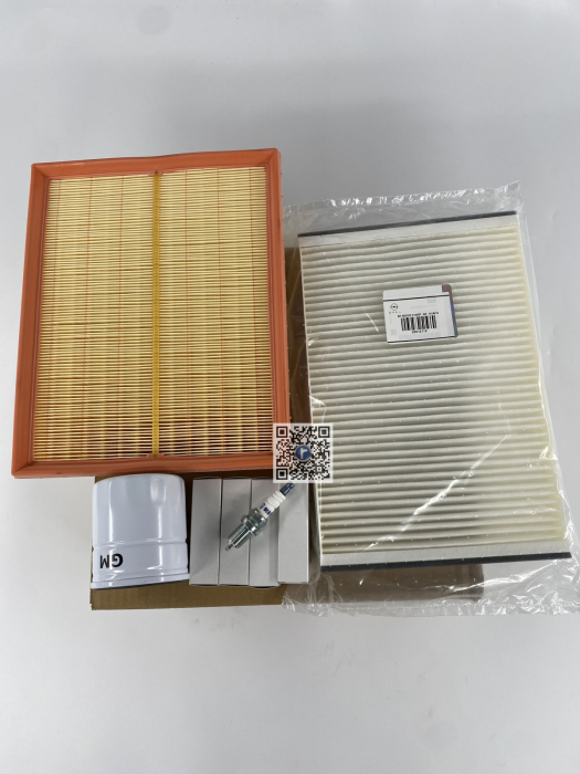 OVERHAUL KIT Z16XEP - AH / 1629033 95514716 [1]