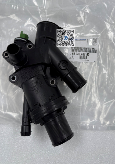 MODUL IESIRE APA MOTOR - 9803648780 [2]