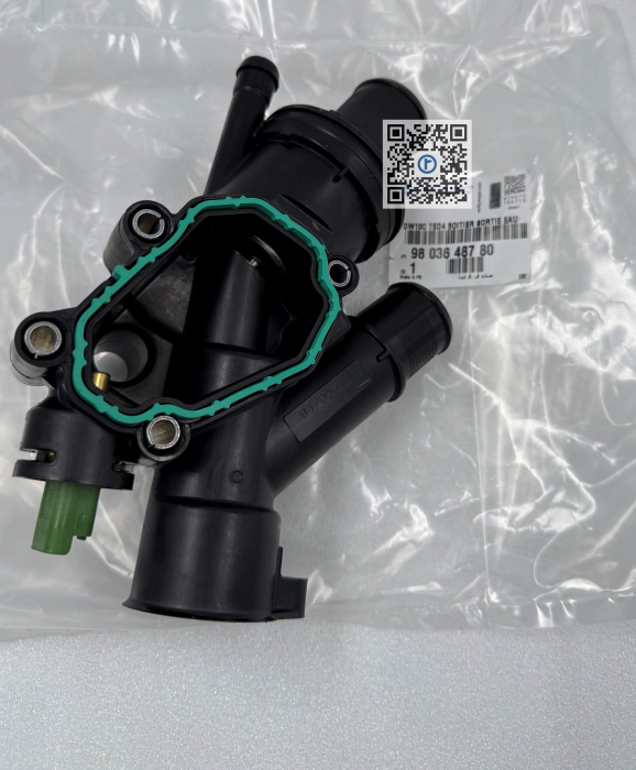 MODUL IESIRE APA MOTOR - 9803648780 [1]