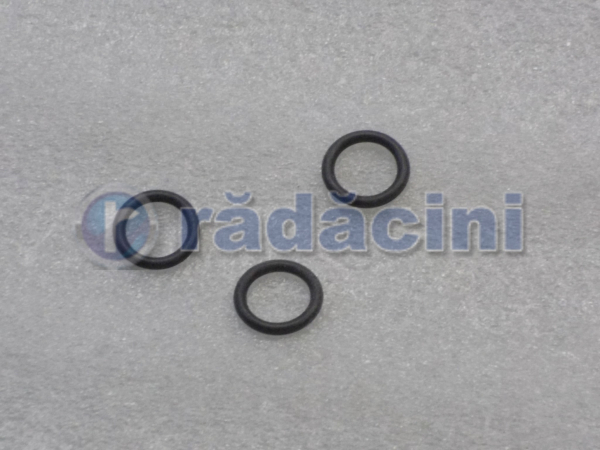 Oring cod 90411826 [2]