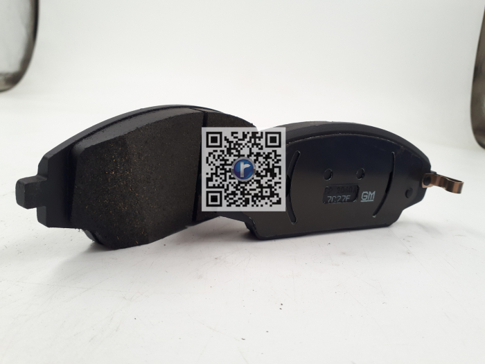 PLACUTE FRANA FATA - AV T300 95231012 [2]