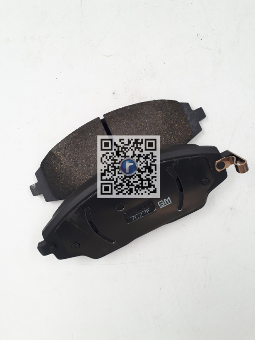 PLACUTE FRANA FATA - AV T300 95231012 [3]