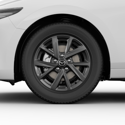 Winterrad R16 Palladium Michelin - Mazda CX-30 DM [1]