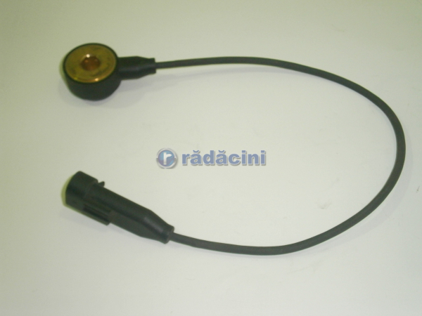 Sensor knock  10456669 [2]