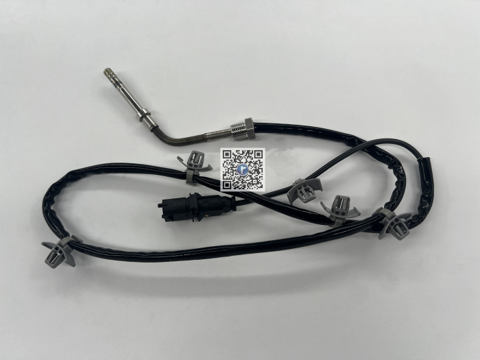 SENZOR TEMP FILTRU PARTCULE - MK / 1247482 55580024 [2]