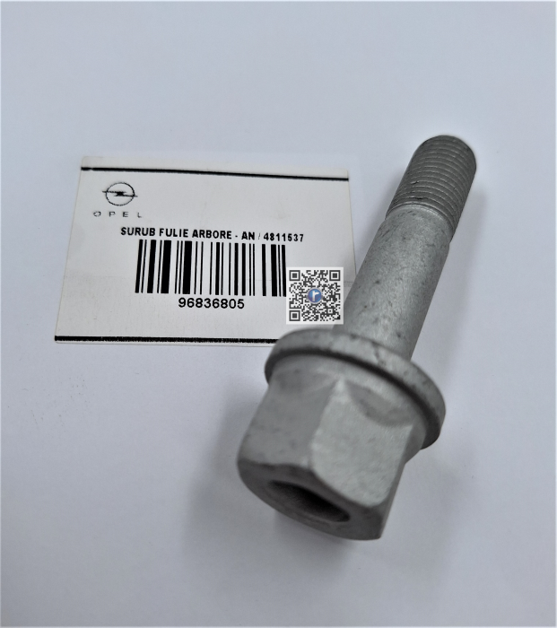SHAFT SHIELD SCREW - Opel Antara 96836805 [1]
