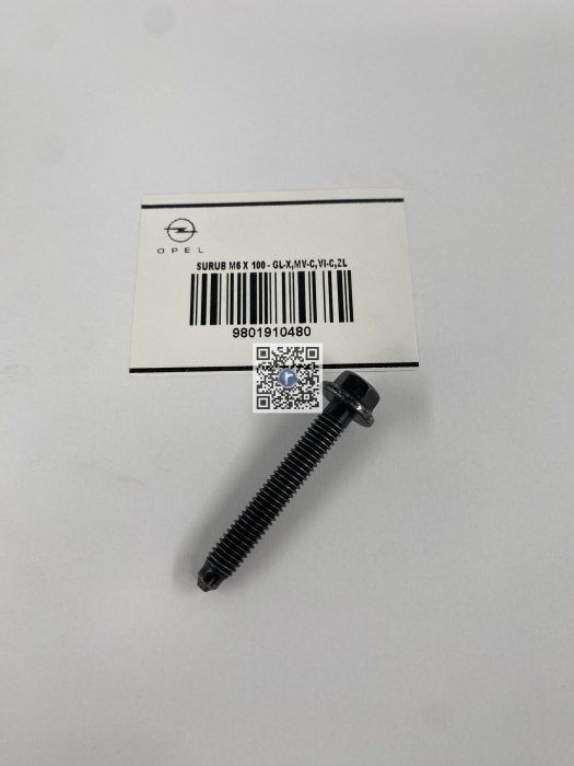 Гвинт  M6 X 100 - GL-X,MV-C,VI-C,ZL 9801910480 [2]