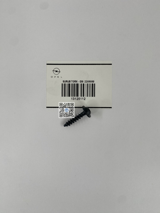 ГВИНТ TORX - 13125112 [1]