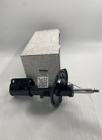 Coffre avec pieces de voiture - AMORTISSEUR AVANT - 543025668R