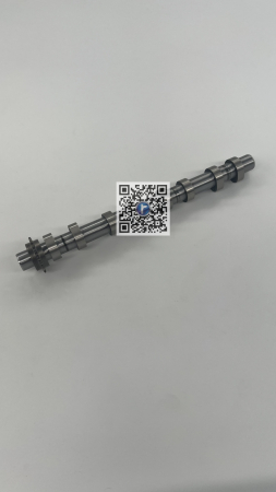 Trunk with car parts - AXA CAME EVACUARE D15DTH - DV5R 9825017880