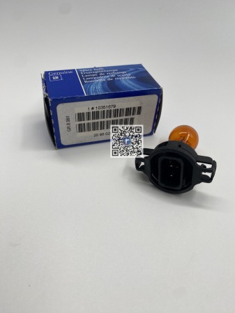 AMPOULE CLIGNOTANT - ASTRA-J 10<12 / 2098020 10351679 [1]