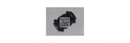 DIRECTIE/ ROTI - Buchse hinten Linkbar - Hersteller CTR 96497058