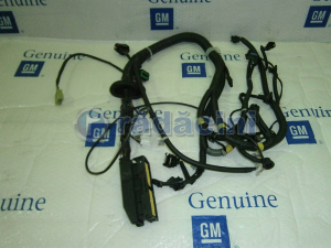 SISTEM ELECTRIC - Kabelbaummotor GPL 96596696