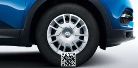 Accesorii - Capac janta tabla R16 Opel Grandland X