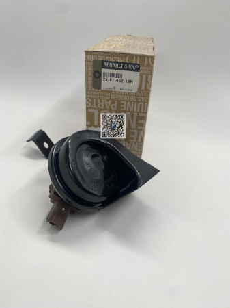 Багажник с автозапчастями - РІГ - 256106218R