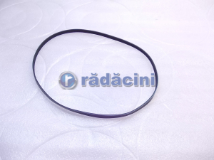 AVEO T250 / T255 2006-2011 - Ceinture alternateur 1.4/1.6 - fabricant Donmil 96476110