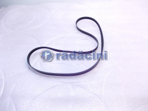 MOTOR SI ACCESORII MOTOR - Ремень-альтератор 2.4 - производитель Dongil 96628792