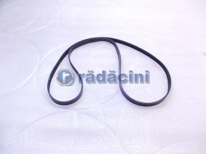 EPICA 2007-2011 - Ceinture alternateur 20 - fabricant Dongil 96989016
