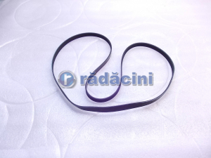 MOTOR SI ACCESORII MOTOR - Ремень-альтератор 3.2 - производитель Dongil 96628779