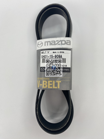 Portbagajul cu piese auto - ALTERNATOR BELT - SH0115909A
