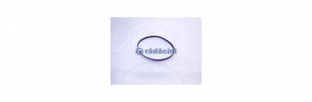 Curea servodirectie 96570669 [1]