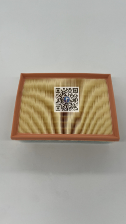 Portbagajul cu piese auto - FILTRU AER - D15DTL 9813908880