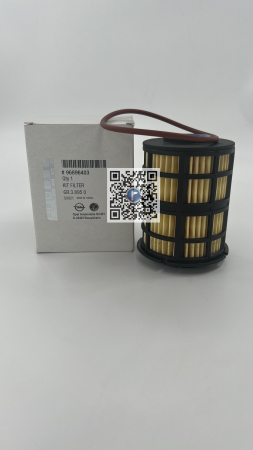 Coffre avec pieces de voiture - FILTRE À CARBURANT - 96896403
