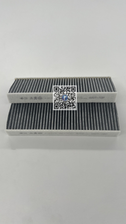 Kofferraum mit Autoteilen - FILTRU POLEN ANTIALERGENI - GL-X 18< 9821501880