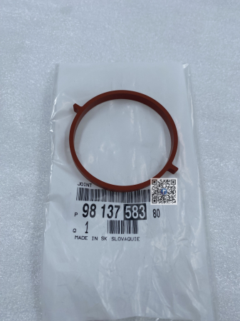 Portbagajul cu piese auto - GARNITURA RACORD AER - DV5R 9813758380