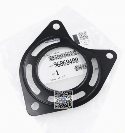 Portbagajul cu piese Stellantis CITROEN, DS, OPEL, PEUGEOT, VAUXHALL - GARNITURA SUPAPA EGR - A20DMH / 4802054 96868480