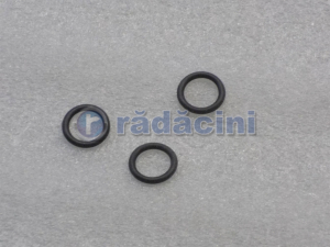 MOTOR SI ACCESORII MOTOR - Oring cod 90411826