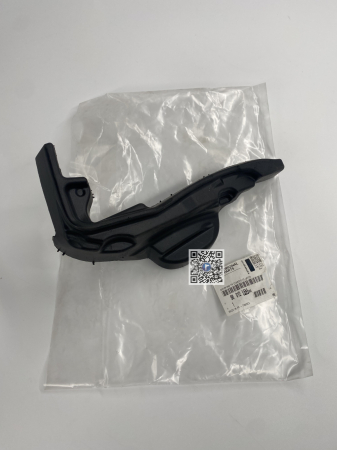 Portbagajul cu piese auto - ORNAMENT BALAMA CAPOTA - 9801281380