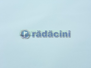 CAROSERIE (EXTERIOR) - Ornament lampa ceata cod 91502FE090