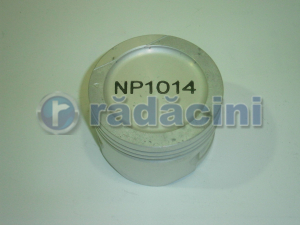 Piston motor R2 (050) - cod NP1014 [1]
