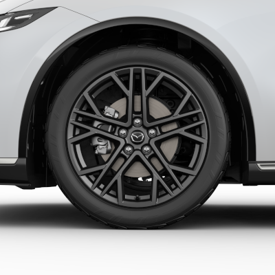 Roata iarna R20 - Jante hiver R19 Anthracite Michelin - Mazda 6e