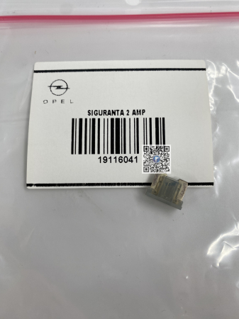 2 AMP FUSE - 19116041 [1]