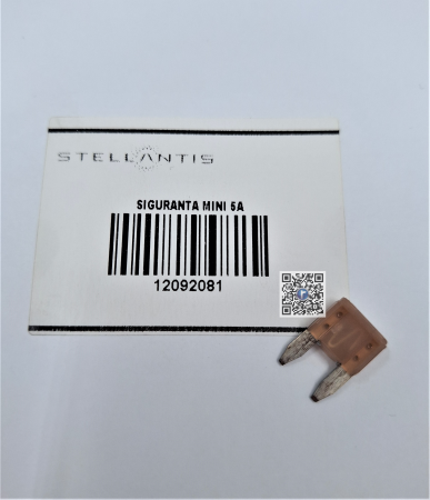 Portbagajul cu piese auto - SIGURANTA MINI 5A - Chevrolet 12092081
