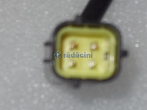 EVACUARE - Sonda Lambda- 1.2 8V