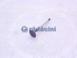 MOTOR SI ACCESORII MOTOR - Выхлопные газы клапана - NBN 90410813