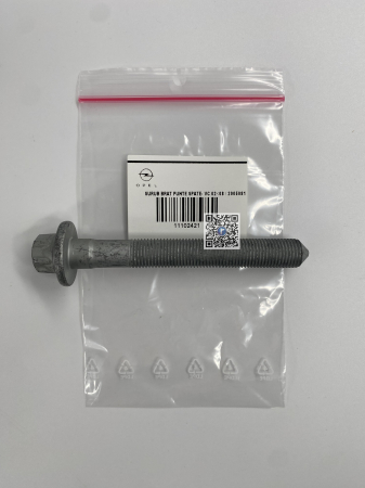 Kofferraum mit Autoteilen - HINTERACHSARMSCHRAUBE - VECTRA-C 02<08 / 2005081 11102421