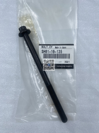 Portbagajul cu piese auto - DIESEL CYLINDER HEAD SCREW - Mazda SH0110135