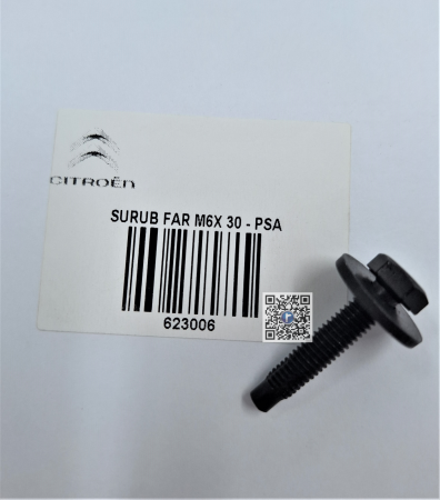 Trunk with car parts - HEADLIGHT SCREW M6X 30 - 623006